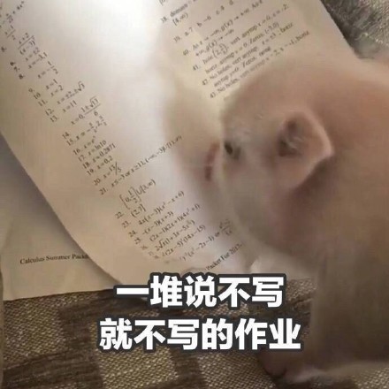 春节宅家的真实写照！这组表情包太戳人了