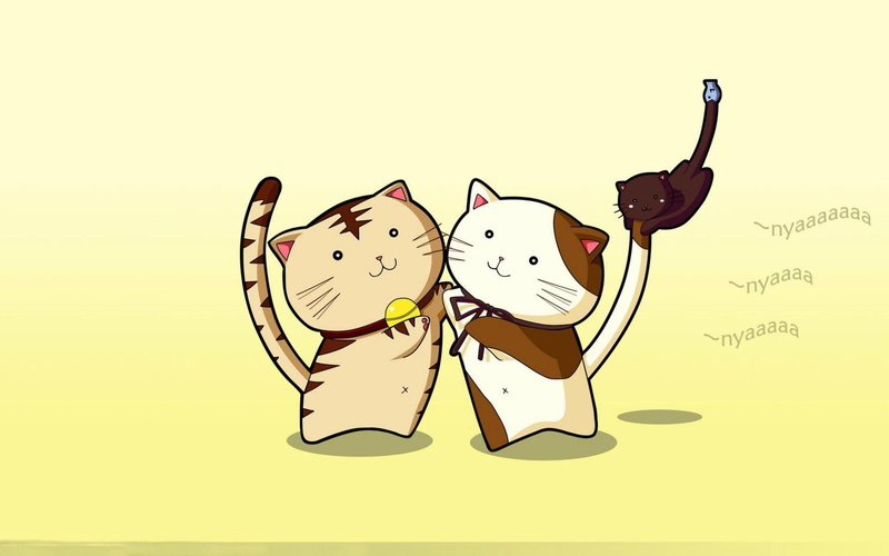 软萌治愈猫咪壁纸合集