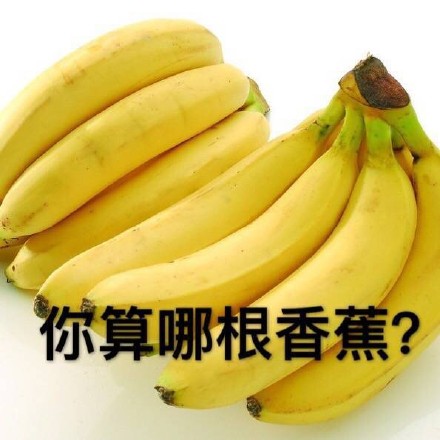 “你算个什么东西？”系列怼人表情包合集