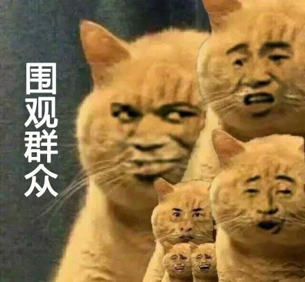 撸猫党狂喜！这套喵星人萌系表情包直接戳中心窝子