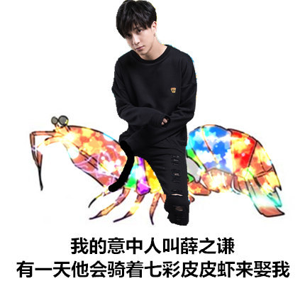 我的意中人会骑着七彩皮皮虾来娶我！这套追星女孩专属表情包火了