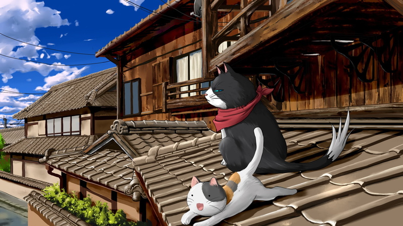 屋顶上的动漫小猫壁纸
