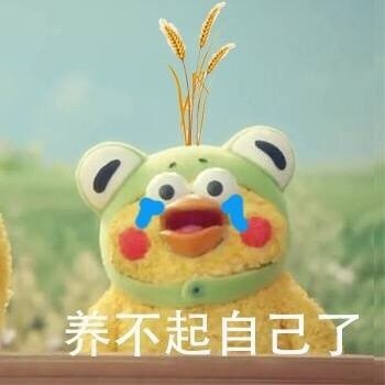 求求你带我回家！这套鹦鹉兄弟表情包太戳人了