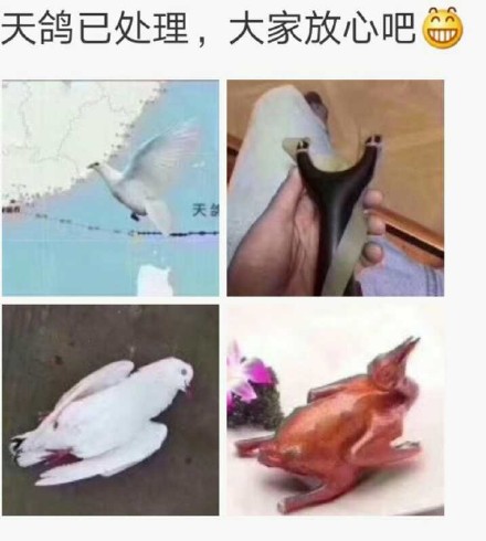 台风天鸽来袭，官方提醒：体重不够别硬撑！