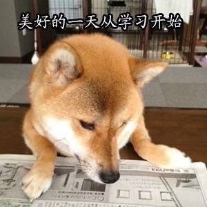 爱学习的Doge表情包合集