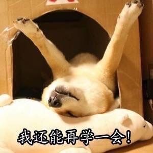 爱学习的Doge表情包合集