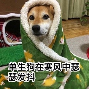 要说汪星人里最讨喜的，还得是doge