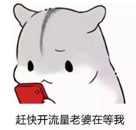 专为宠妻准备的聊天表情包合集