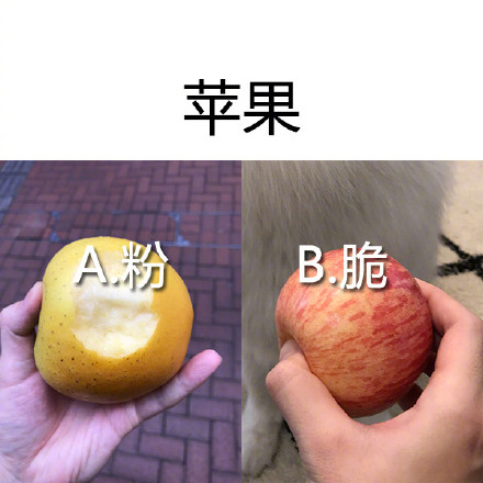 测测你能不能遇上和你喜好完全一致的有缘人