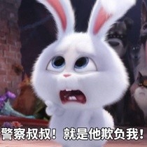 《爱宠大机密》兔子表情包合集