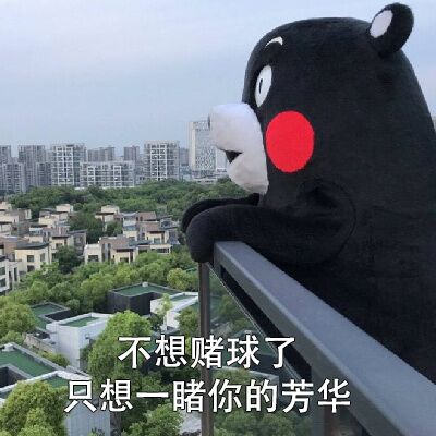 世界杯熊本熊土味情话合集