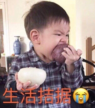 萌娃界斗图顶流！嗯哼杜宇麒专属表情包合集