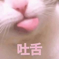 粉嘟嘟少女心猫咪表情包来啦