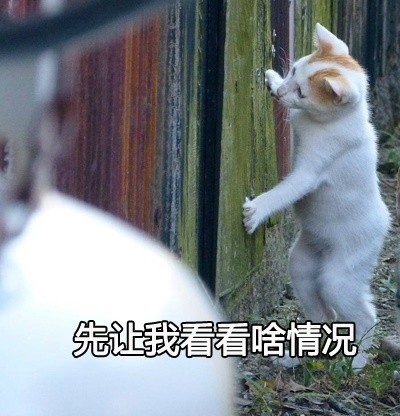 喵星大佬驾到！这套装逼表情包太有内味儿了