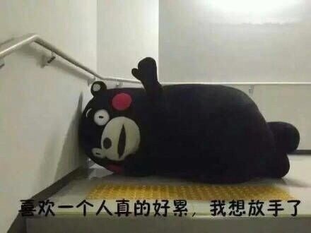 暗恋对象不回消息？这套熊本熊表情包太懂你了