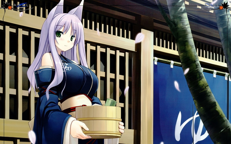 这些动漫壁纸太绝了！绿眼长发白毛兽耳少女太戳人