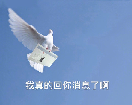 打工人常遇的被放鸽子表情包合集