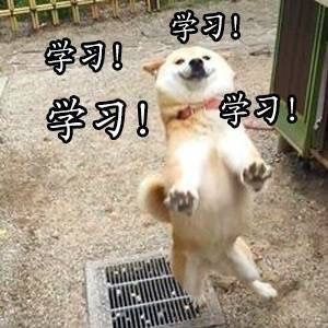 爱学习的Doge表情包合集