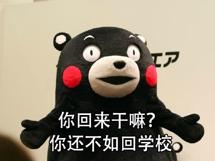 熊本熊吐槽放假回家日常：刚到家待遇超好，没几天就被爸妈嫌弃