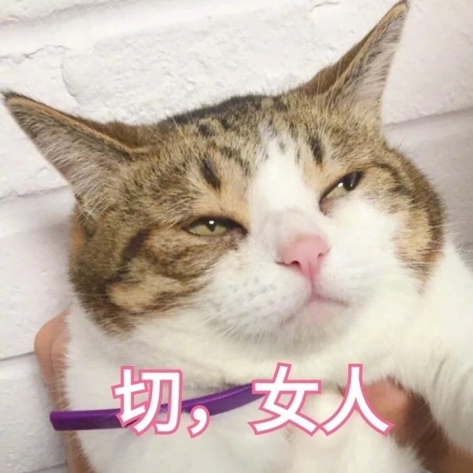 猫咪情侣头像合集来啦