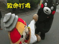 这里有超多熊本熊动态表情包！