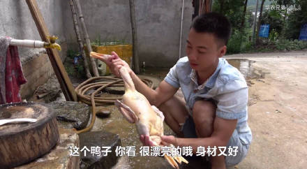 华农兄弟“你好漂亮”表情包合集