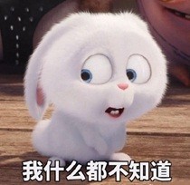 《爱宠大机密》兔子表情包合集