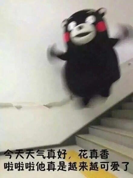 暗恋对象不回消息？这套熊本熊表情包太懂你了