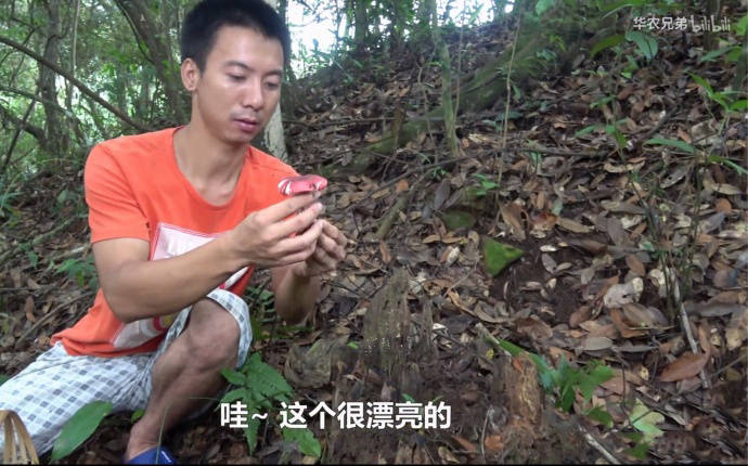 华农兄弟“你好漂亮”表情包合集