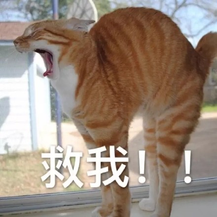 打游戏喊到嗓子哑？这套表情包完美戳中你的日常