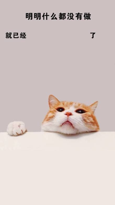 「明明什么都没做就已经」系列壁纸第四弹来啦