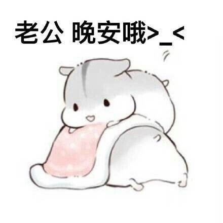 软萌撒娇！ㄇㄚˊ幾兔跟老公撒娇的全套表情包