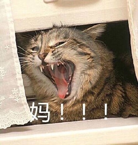 妈妈微信经常不回你？试试这套表情包救场！