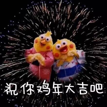 鹦鹉兄弟送鸡年祝福！这套表情包太应景了