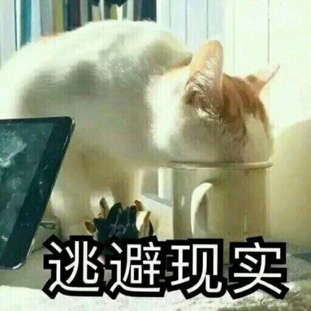 撸猫党狂喜！这套喵星人萌系表情包直接戳中心窝子