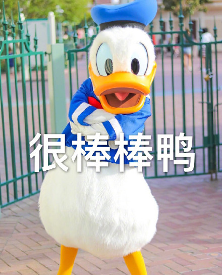 唐老鸭表情包第三弹来啦！