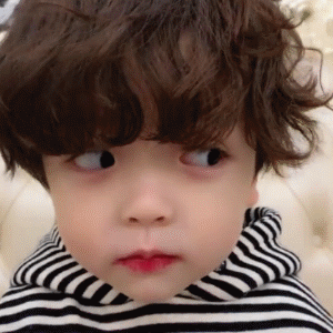 萌娃小小哲皓动图表情包来啦