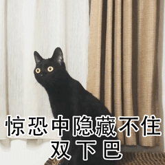 养猫斗图党看过来！这套小猫惊恐表情包太好用了