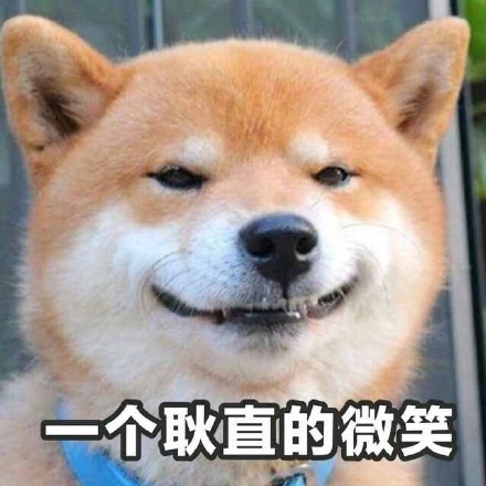 超火柴犬表情包合集！聊天斗图直接用