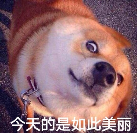 聊天怼人神器！瞪眼Doge表情包合集