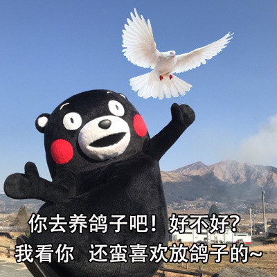 不想跟杠精掰扯？这套熊本熊怼人表情包帮你优雅回怼