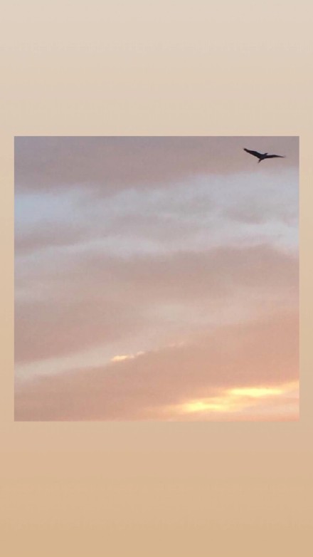 这组暖色系壁纸，看完想立刻换上手机桌面