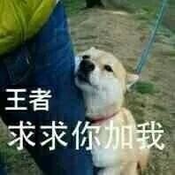 王者荣耀相关聊天斗图表情合集