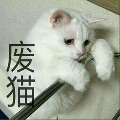 打工人摸鱼必备！