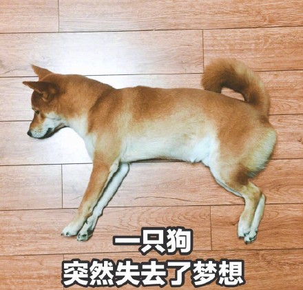 情人节临近，这套单身狗表情包快存好