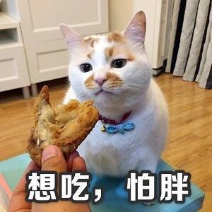 打工人斗图必备！这波减肥表情包精准戳中你的痛点