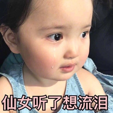 超火的精致猪猪女孩小刚几表情包合集