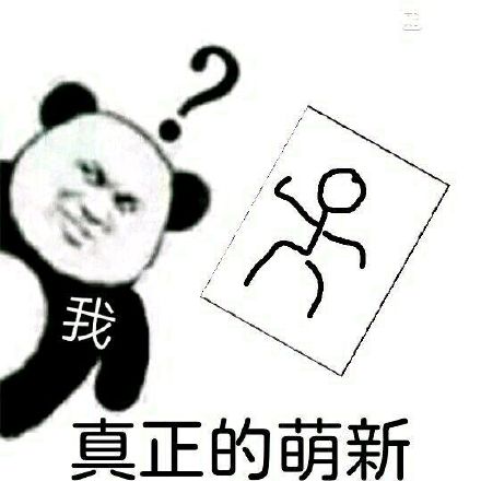 新手画画小白来报道啦