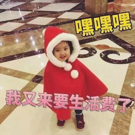 软萌讨钱表情包合集，聊天开口要钱全靠它