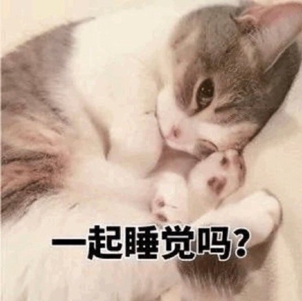猫咪版晚安邀约表情包来啦